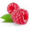 Příchuť pro míchání e-liquidu Flavour Art Raspberry 10 ml