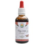 Salviaparadise Anýz AF tinktura Pimpinella anisum 50 ml – Hledejceny.cz