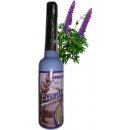 Oro Verde Aqua de Lavanda 70 ml