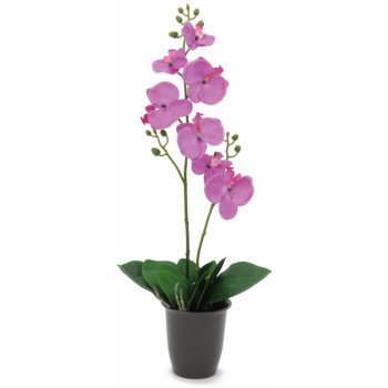 Orchidej fialová 57cm