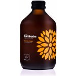 Vigo Kombucha acerola a zázvor bio 315 ml – Zboží Dáma