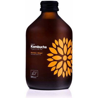 Vigo Kombucha acerola a zázvor bio 315 ml – Zboží Dáma