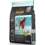 Belcando Adult Ocean Grain Free 4 kg – Hledejceny.cz