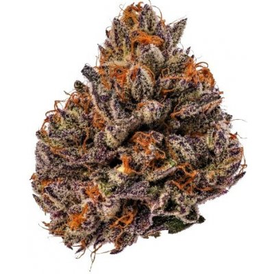 Growers Choice Tropicana Cherry Triploid F1 semena neobsahují THC 3 ks – Hledejceny.cz