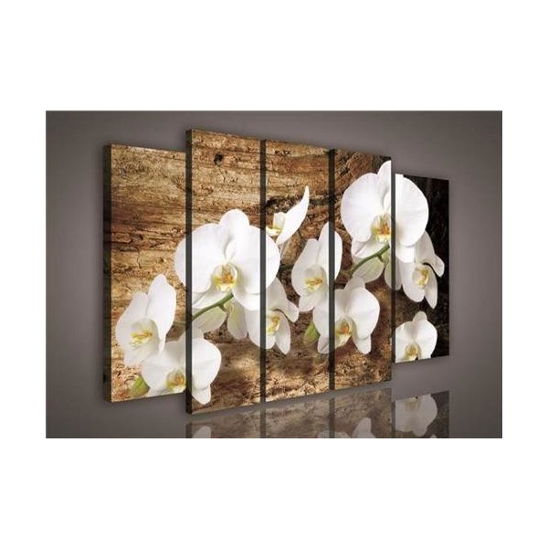 Obraz Obraz na plátně orchidej na dřevě 414S12, rozměr 150 x 100 cm, IMPOL TRADE