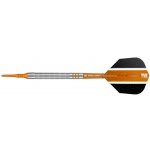 Target soft 18g Raymond van Barneveld 80% wolfram RVB – Zbozi.Blesk.cz