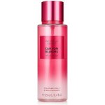 Victoria's Secret Canyon Blooms 250 ml – Zboží Dáma