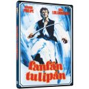 Fanfán Tulipán DVD