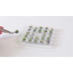 Noch PROFI Travní trs suchý sada 25 ks – Zboží Dáma