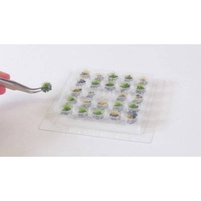 Noch PROFI Travní trs suchý sada 25 ks – Zboží Dáma