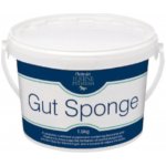Protexin Gut Sponge pro koně 1,5 kg – Zboží Mobilmania