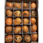 Křepelčí vejce barvená bal. 20 ks, oranžová – Hledejceny.cz