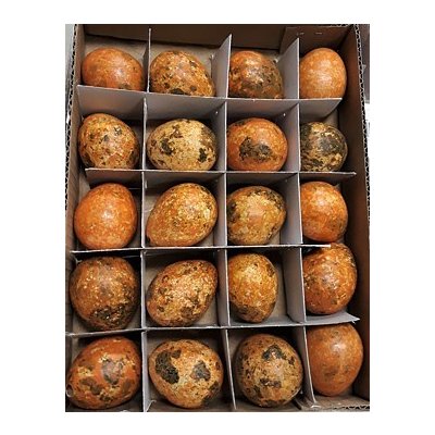 Křepelčí vejce barvená bal. 20 ks, oranžová – Hledejceny.cz