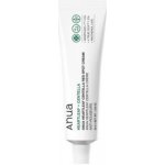 Anua CENTELLA RED SPOT CREAM Krém pro lokální péči akné 30 ml – Sleviste.cz