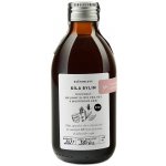 Květomluva Bylinný elixír Síla bylin Bio 250 ml – Hledejceny.cz