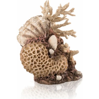 BiOrb Coral-Shells Ornament natural 22 cm – Zboží Dáma