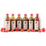FerMato Testovací set omáček 6 x 347 ml – Zboží Dáma