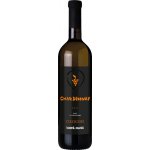 Dobrá Vinice Chardonnay qvevri 2013 13% 0,75 l (holá láhev) – Hledejceny.cz