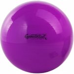 Ledragomma Gymnastik Ball 53 cm – Hledejceny.cz
