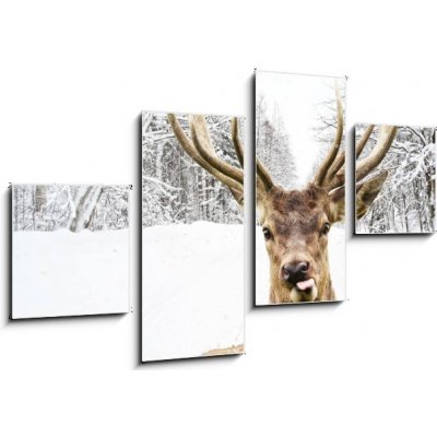 Obraz 4D čtyřdílný - 100 x 60 cm - Deer with beautiful big horns on a winter country road Jelen s krásnými velkými rohy na zimní venkovské cestě