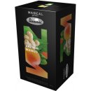 Drana Magical Garden zázvor a mango 20 x 2,5 g