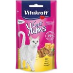 Vitakraft Cat Yums Sýr 40 g – Hledejceny.cz