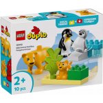 LEGO® DUPLO® 10442 Rodinky divokých zvířat: Tučňáci a lvi – Zboží Živě