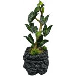 Repto Water Dripping Tree 30 x 24 x 51 cm – Hledejceny.cz