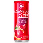 Magnesia Red ochucená minerální voda Červený pomeranč 4 x 0,33 l – Zbozi.Blesk.cz