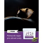 Dromy Amino Flex 6 kg – Zbozi.Blesk.cz