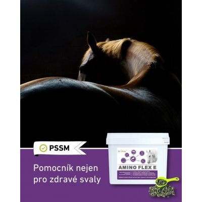 Dromy Amino Flex 6 kg – Zbozi.Blesk.cz