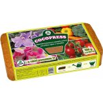 Biom Cocopress substrát pro výsev 650 g – Zboží Mobilmania