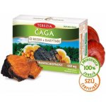 Čaga Reishi Rakytník antioxidant 60 kapslí – Hledejceny.cz