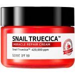 Some By Mi Snail Truecica Miracle Repair Cream 60 ml – Zboží Mobilmania