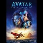 Avatar: The Way of Water - Edice v rukávu DVD – Hledejceny.cz