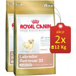 Royal Canin labrador retriever Puppy 24 kg – Hledejceny.cz