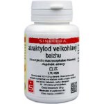 Sinecura Atraktylod vejčitý prášek cangzhu 20 g – Hledejceny.cz