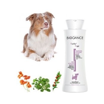 Biogance Activ hair šampon pro obnovu srsti 250 ml