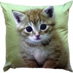 Dadka polštář Kotě na zeleném 40x40 – Zboží Dáma