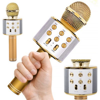 SOLEX Mikrofon ruční WS 858 GOLD Karaoke – Hledejceny.cz