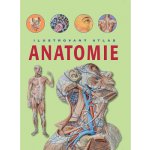 Ilustrovaný atlas Anatomie – Zbozi.Blesk.cz