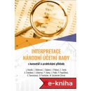 Interpretace Národní účetní rady: s praktickými příklady a komentáři - Edita Ševcovicová, Libor Vašek, Petra Pospíšilová, Alice Šrámková, Jiří Pelák, Petr Vácha, Libuše Mullerová, Ladislav Mejzlík, Ma