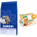 Iams Multi Cat Households s lososem 2 x 15 kg – Sleviste.cz