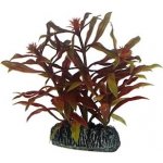 Hobby Nesaea 7 cm umělá – Zboží Mobilmania