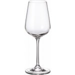 Crystalite Bohemia Sklenice STRIX na bílé víno 250 ml – Sleviste.cz