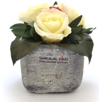 Ina DARK Champagne (3x stabilizovaná "věčná" růže v betonovém květináčku)