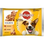 Pedigree Adult hovězí drůbeží v želé 4 x 100 g – Zbozi.Blesk.cz