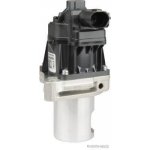 AGR-Ventil HERTH+BUSS ELPARTS 70671408 – Hledejceny.cz