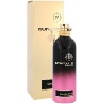 Montale Golden Sand parfémovaná voda unisex 100 ml – Hledejceny.cz