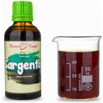 Bylinné kapky Pavlovy Sargenta TCM tinktrura 50 ml – Hledejceny.cz